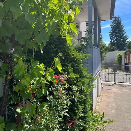 Am Kellerwald - Stadtmauer